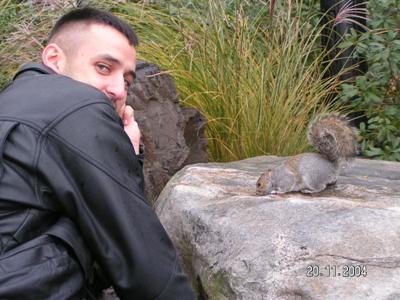 белка Черняков
Нью-Йорк squirrel Chernyakov New York NYC