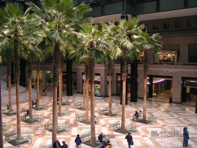 внутри пальмы
Нью-Йорк inside palm New York NYC